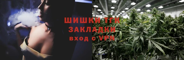 spice Гусев