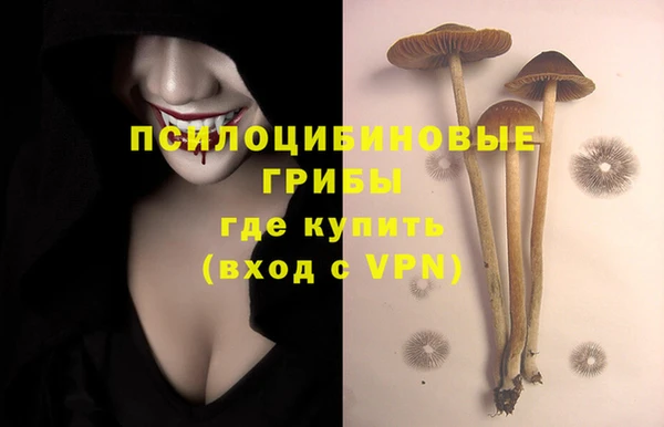 крисы Гусь-Хрустальный