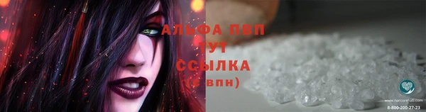 тгк Горняк