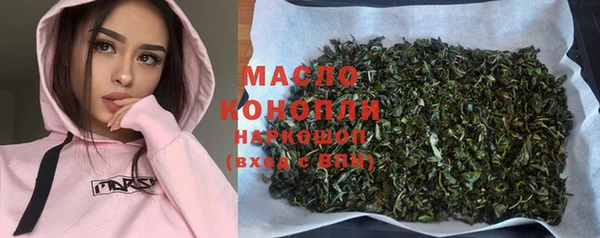 spice Гусев